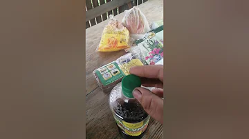 Чем я удобряю свои манго