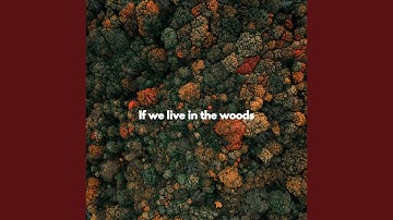 Tranquil Ambience for Forgetting Summer