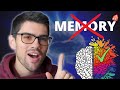 What if learning neuroanatomy is more about creativity than memory