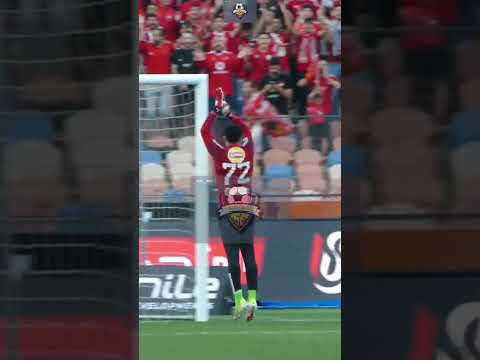 شوبيرا السد العالي هتاف جمهور الاهلي لحارسهم قبل لقاء الزمالك