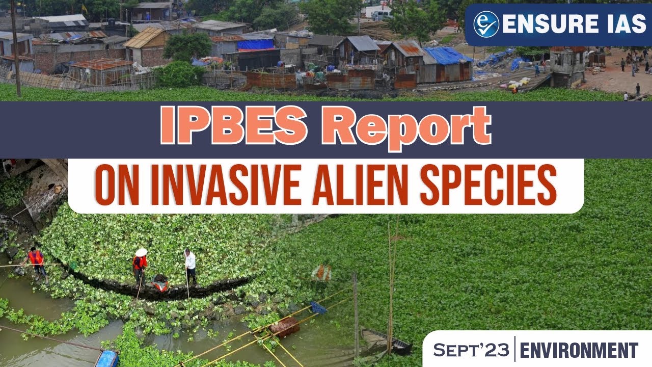 Invasion Alert Alien Invasion Alert! Latest Assessment on Invasive Alien Species ...