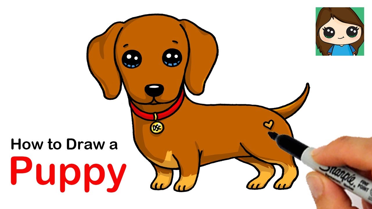 How to Draw a Dachshund Puppy Dog Easy - YouTube