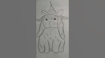 Realistic Bunny Drawing😆#art#bunny#realistic#cute#drawing#viral(#shorts).
