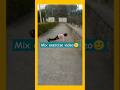 Full body mix exercise #shorts #exercise