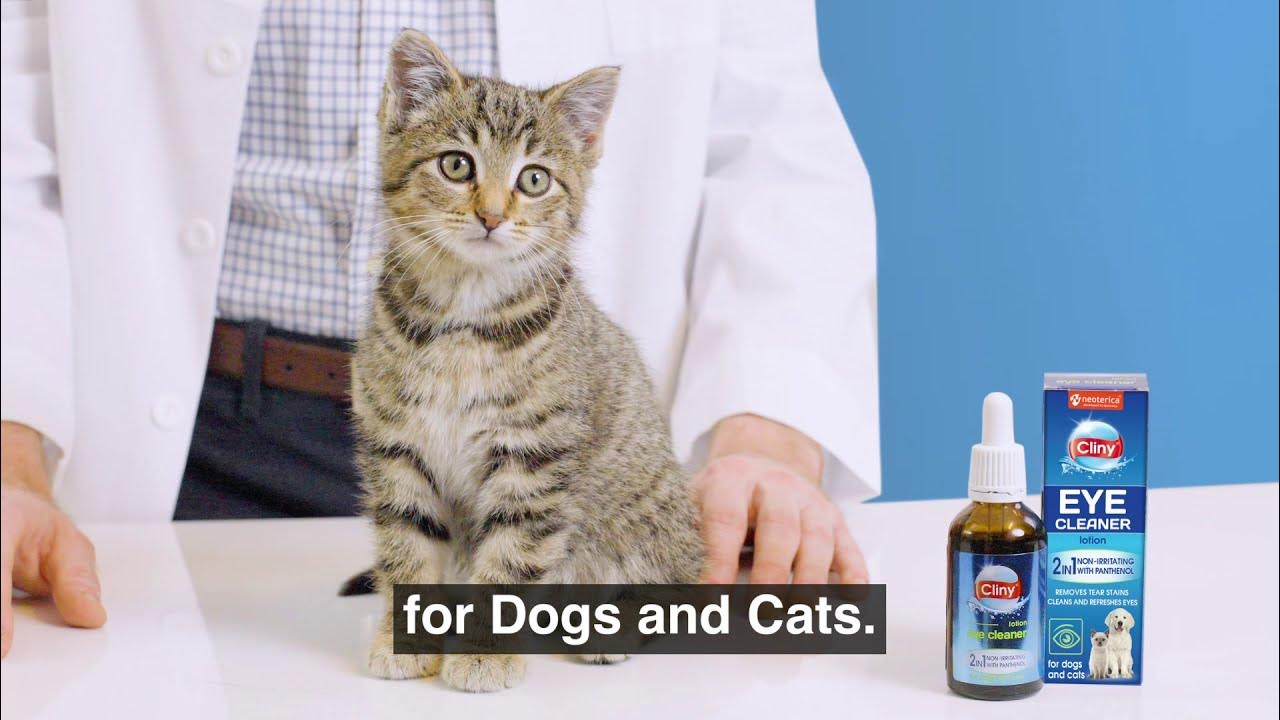 Cliny Universal Pet Eye Cleaner for Dogs & Cats YouTube
