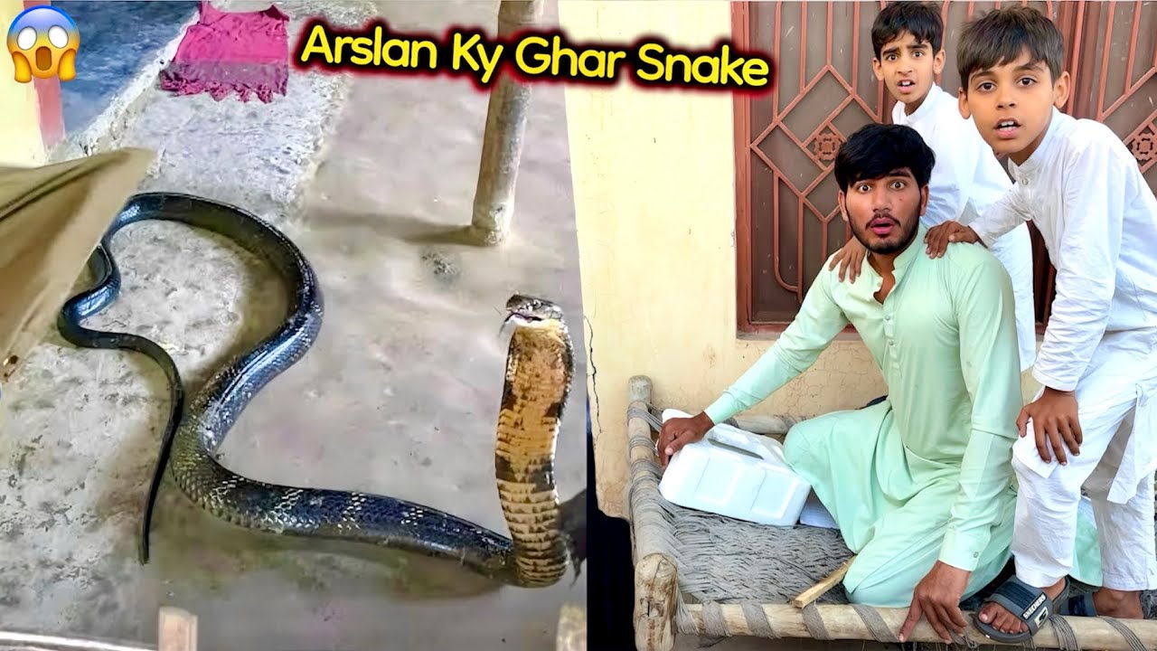 Arslan Ky Ghar Sy Snake 🐍 Nikal Aya 😨
