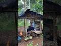Deep Forest Isolation: Why I Love This Simple Hut #RainSounds #ForestAmbience #SleepSounds #ASMR