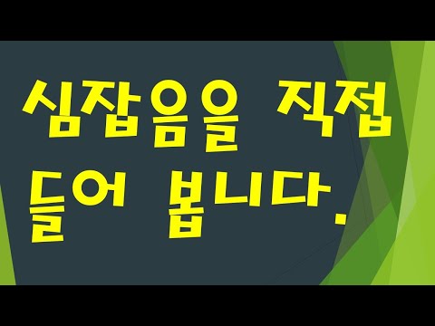 심장청진과 심잡음을 직접 들어 봅니다.