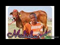 Malisha Ujumbe Wa Bhalimi Official Audio Production By Capaya Studio Malisha Ujumbe Wa Bhalimi Official Audio Production By Capaya Studio