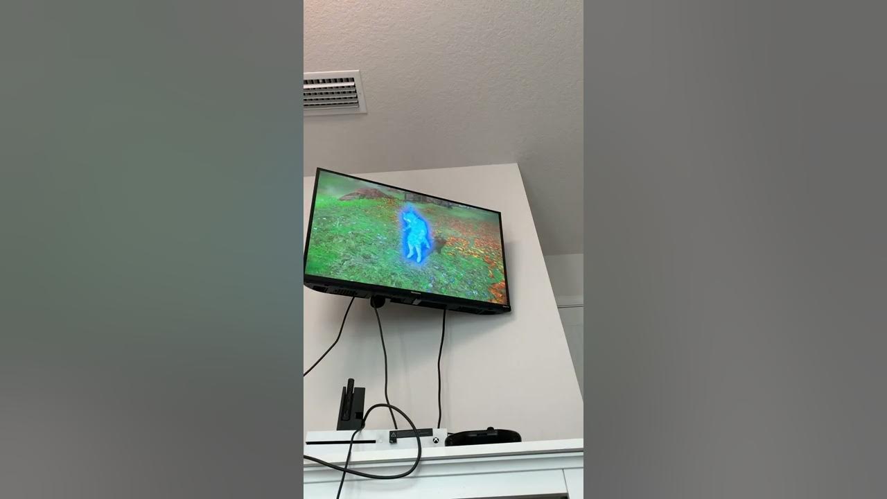 Botw library Hyrule Castle YouTube