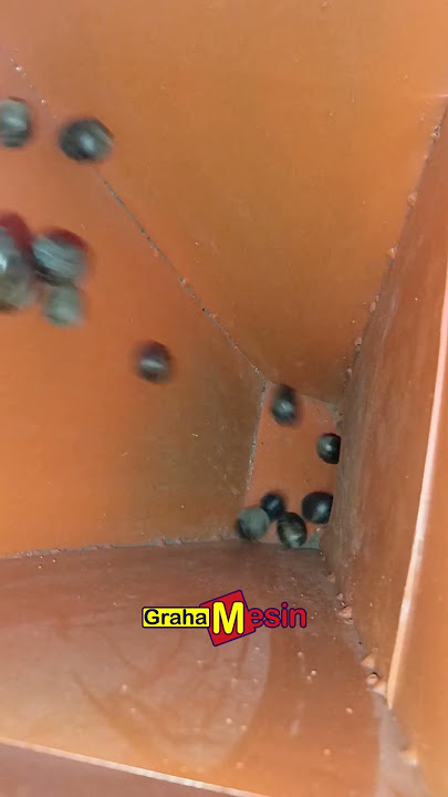 🔧 Inovasi Pertanian: Mesin Pemecah Biji Pala, Solusi Cepat & Efisien untuk Petani!
