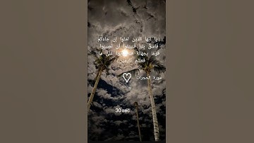 سورة الحجرات بصوت الشيخ ياسر الدوسري||يا أيها الذين امنوا ان جاءكم فاسق.......