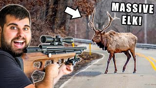CATCH & RELEASE ELK HUNTING! *EPIC*
