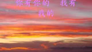 張清芳_偶然_small.FLV