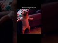 For Peoples Waiting For My Downfall! #funny #motivation #usa #viral #baby
