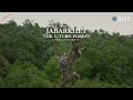 Jabarkhet  the uturn forest  bharatbala  virtual bharat  short film  documentary