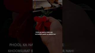 || Tum phool jaisi ho ||
