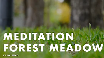 Meditation and Mindfulness - Forest Meadow