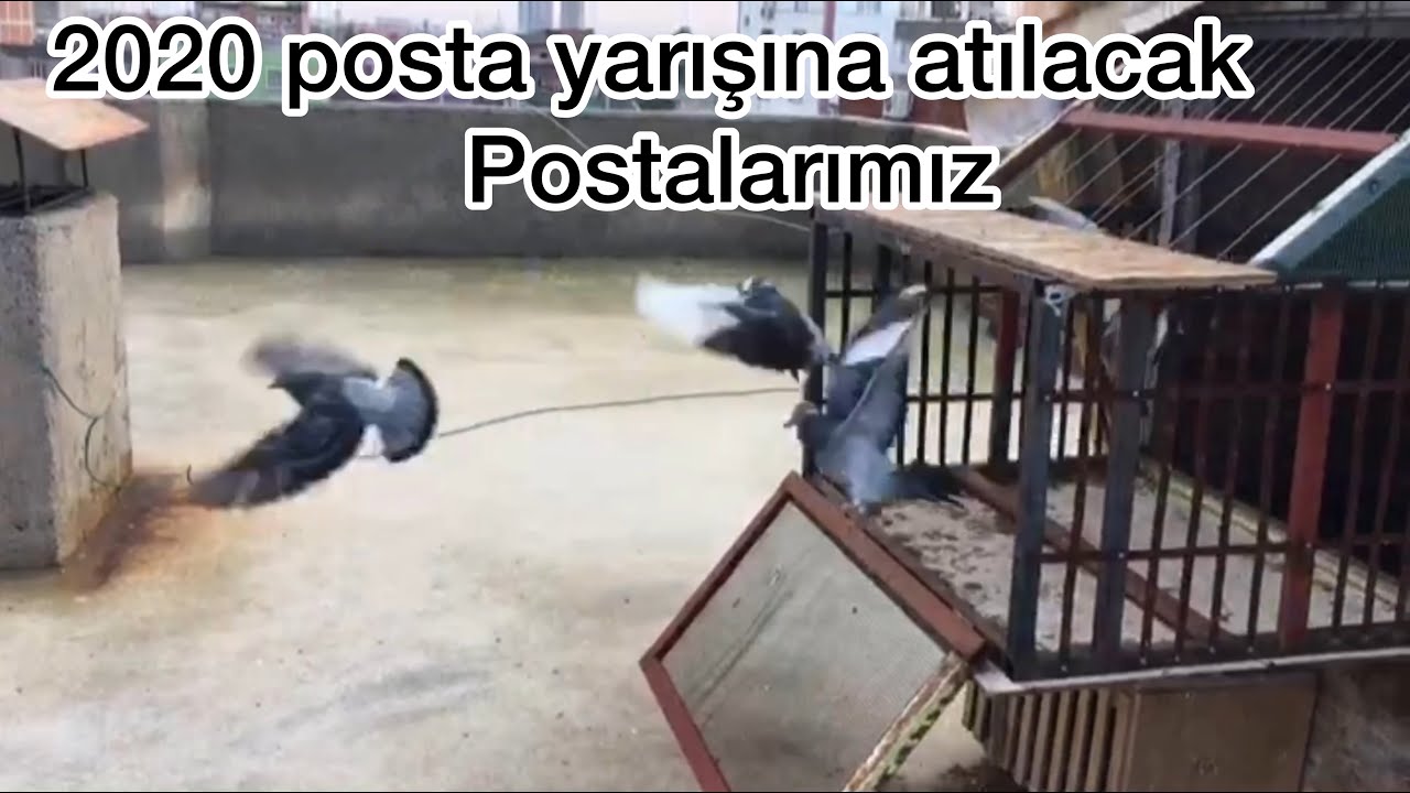 2020 posta yarışına atacağımız postalarımız