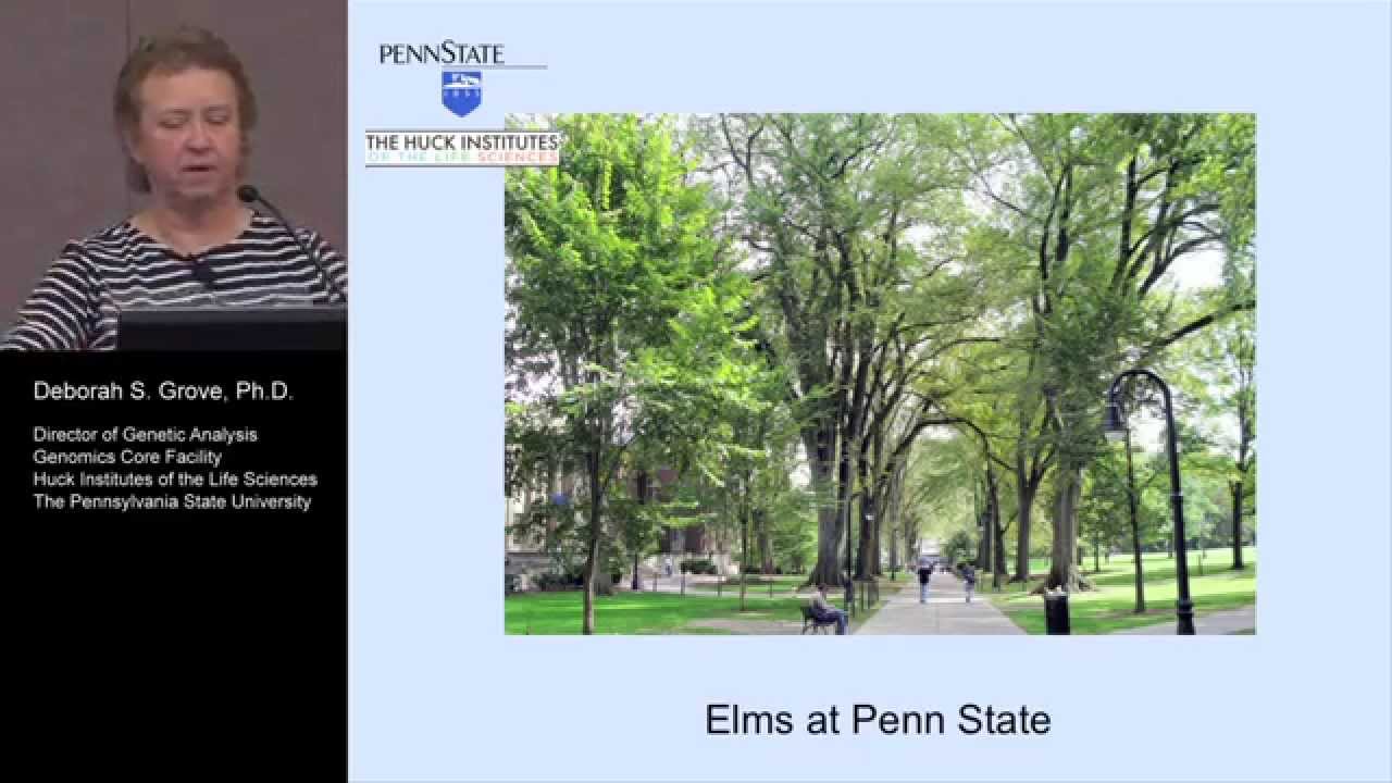 Providing Digital PCR in a Core Facility, Demonstrating Pathogen Applications