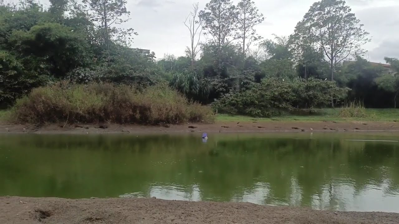 28 Februari 2026#lake in the countyside#