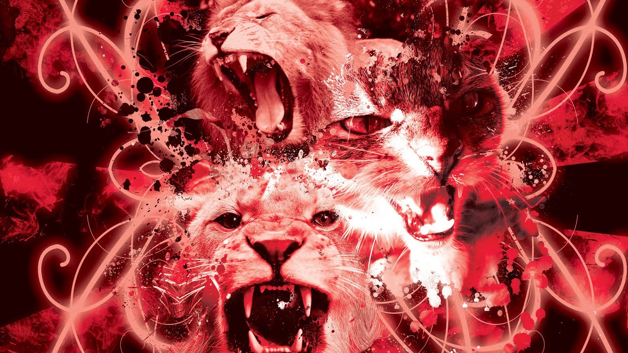 Roar Promo
