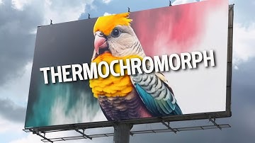 Thermochromorph: This Printmaking Technique Transforms Images with Heat