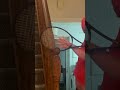 Mounted 360° Backhand
