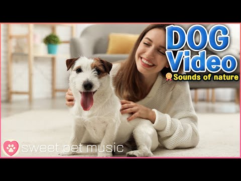 Video: Is hooiberge geskik vir honde?