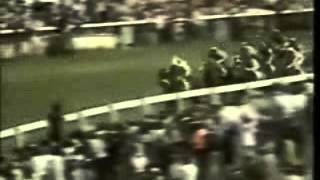 Epsom Derby 1977 and the great Lester Piggott on The Minstrel...