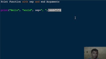 Print Function with sep and end Arguments