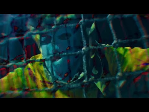 Sleduj bern4l - fly🦋(video oficial) na YouTube Sleduj bern4l - fly🦋(video oficial) na YouTube