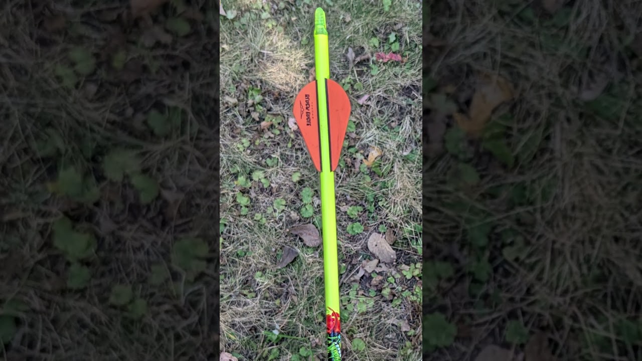 Сколько ждать, прежде чем начать выслеживать оленя? Всё зависит от крови.