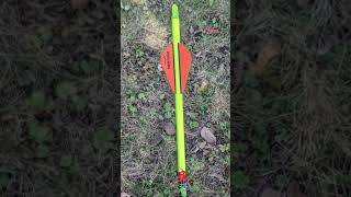How Long To Wait Before Tracking Deer? Everything Depends On The Blood