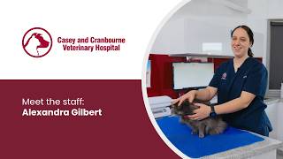 Meet Alex Gilbert Veterinary Nurse