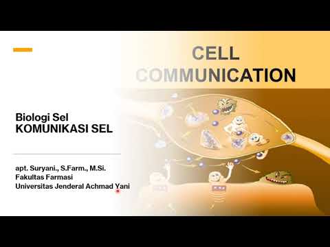 Video: Mengapa komunikasi sel penting?