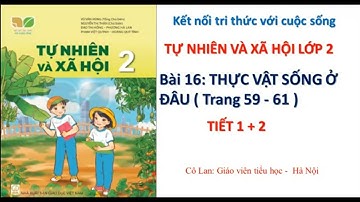 Tự nhiên và xã hội lớp 2. Bài 16: Thực vật sống ở đâu?( Trang 59 - 61)