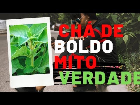 Video: Boldo - Nuttige Eigenschappen En Toepassingen Van Boldo