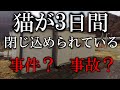 農具小屋に閉じ込められたネコのレスキュー。事件？　事故？　※チャンネル登録してLIAの活動を応援してくださいね。※Subscribe to the channel.　#どうぶつ虐待Gメン
