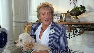 Rod Stewart Ve Depeche Mode, Albümlerinin Tanıtım Turunda - Lemag