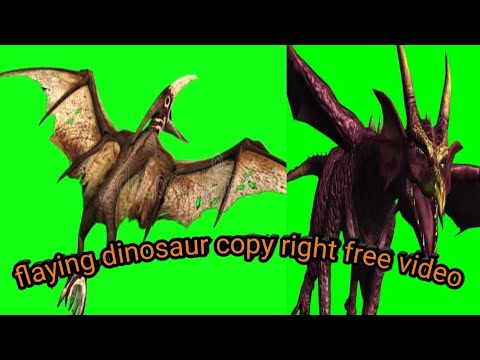 flaying dinosaur green screen free video | real motion | green screen ...