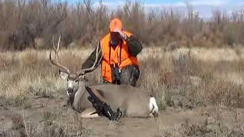 Colorado Eastern Plains Mule Deer Hunt