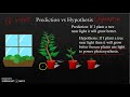 Observations Inferences Predictions And Hypotheses In Scientific Experiments
