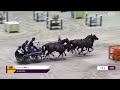 Bravo, Boyd! 👏🥇 | FEI Driving World Cup™ Genève