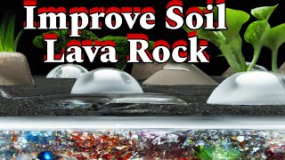 Grow a Thriving Garden with Lava Rock and Soil