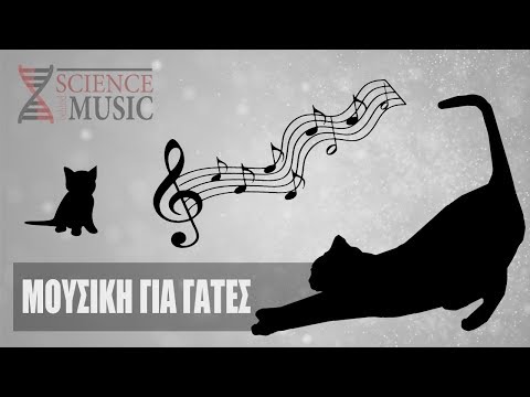 Science Behind Music