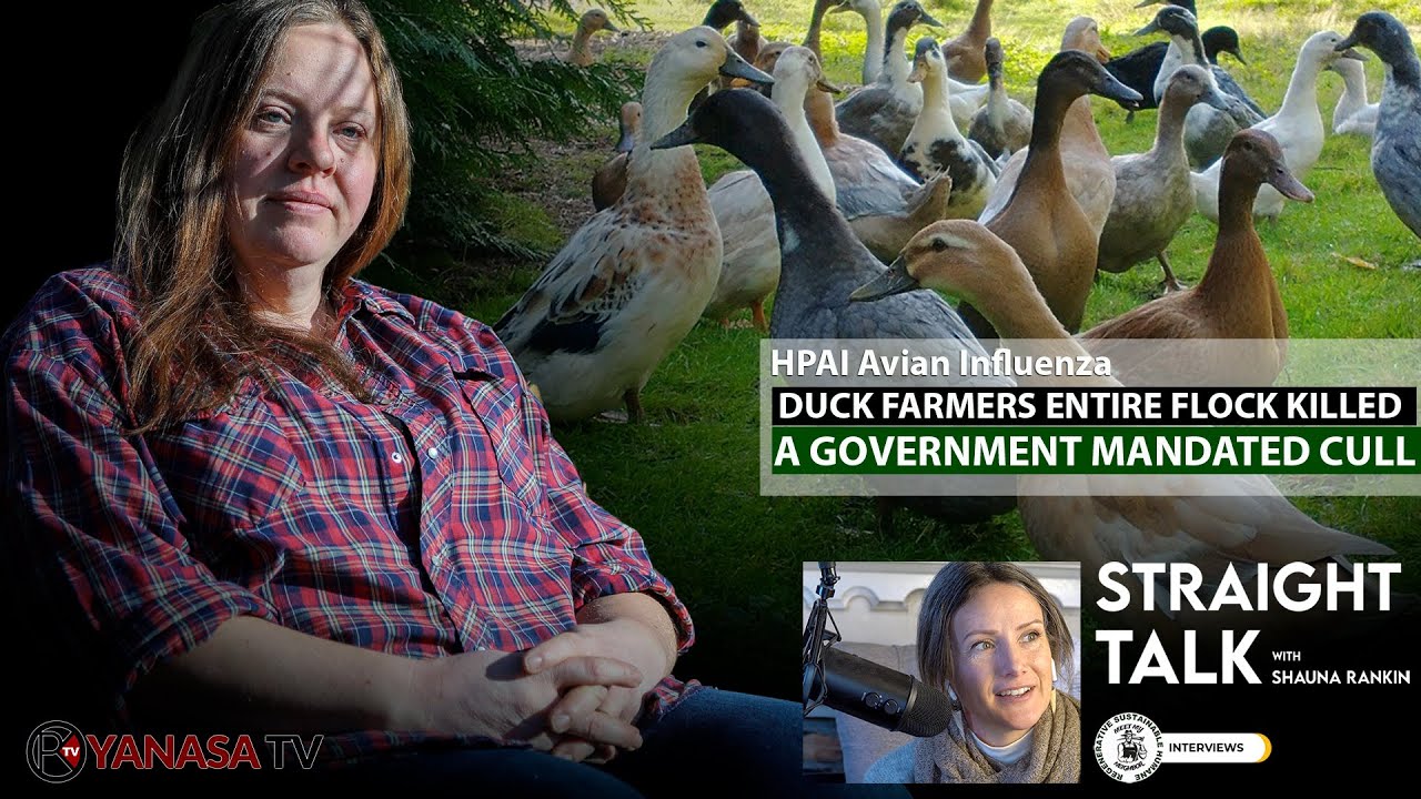 IT CAN HAPPEN TO YOU her ENTIRE FLOCK ordered to be KILLED. | HPAI ...