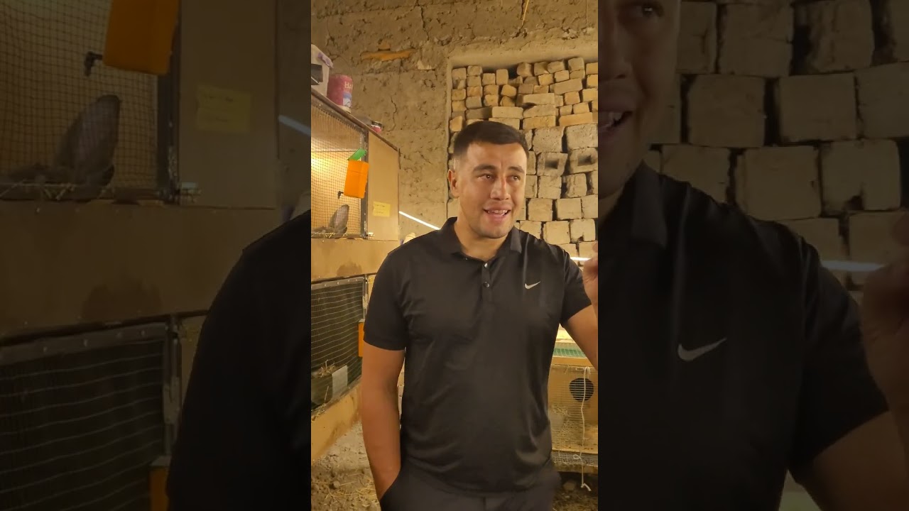 Quyonni qanday  ko'paytirish haqida 