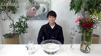 切花紹介 Youtube