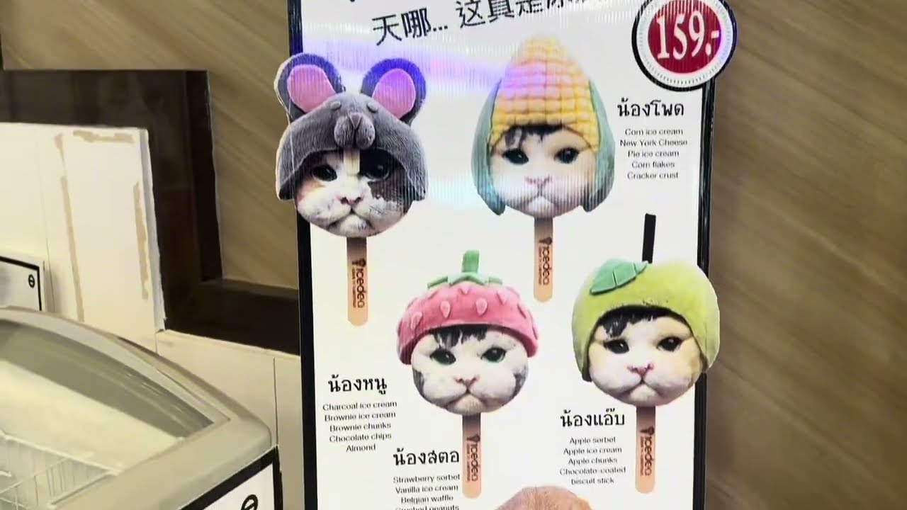 All you can see in Pattaya from morning till night. 